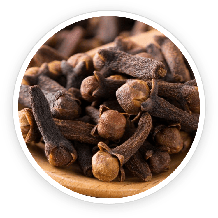 Clove Bud Oil