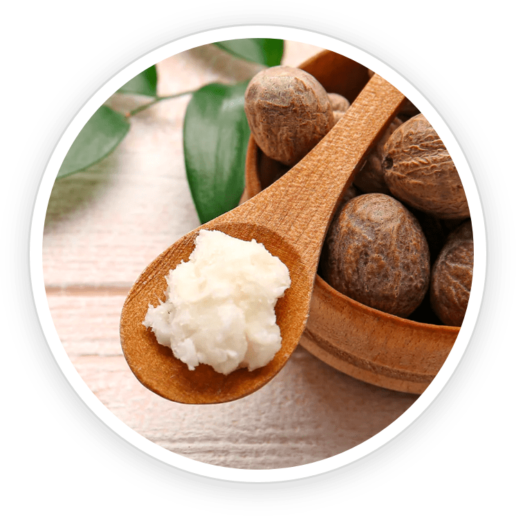 Shea Butter