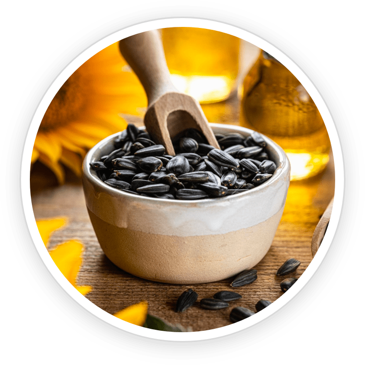 Sunflower Oil