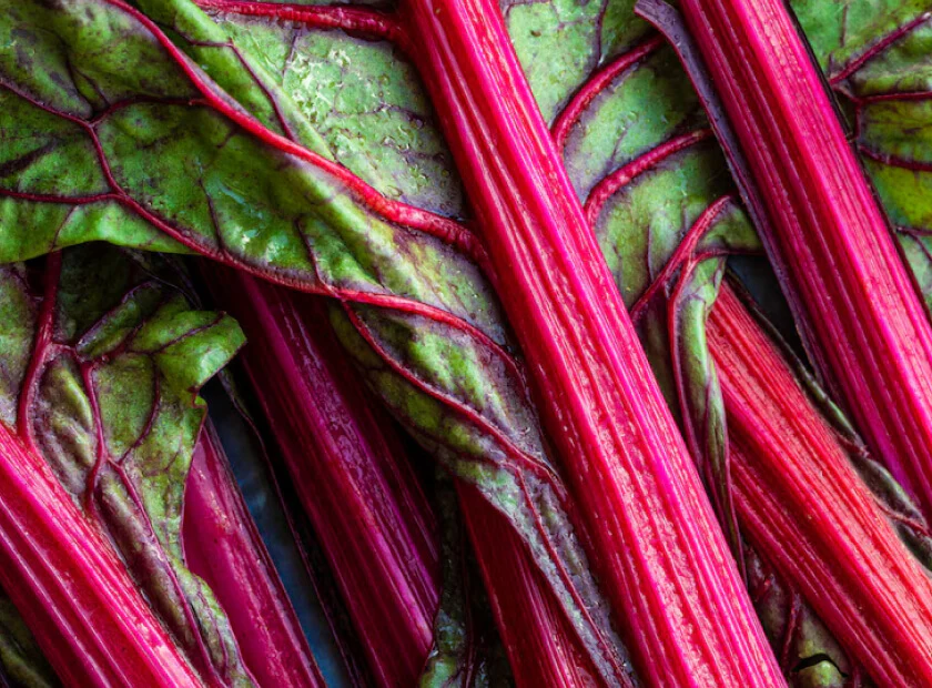 Rhubarb